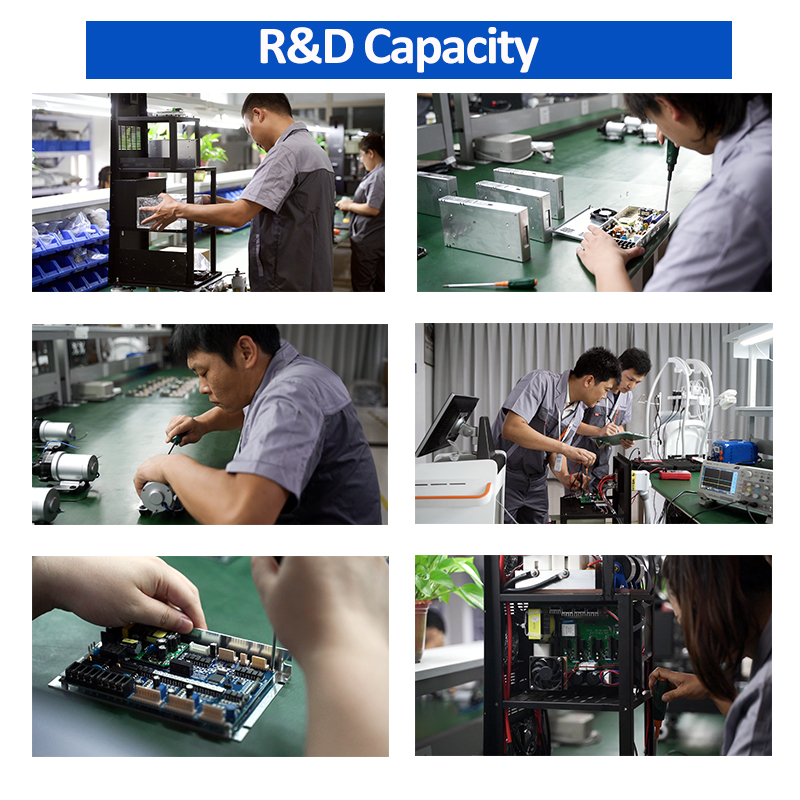 R & D capacity