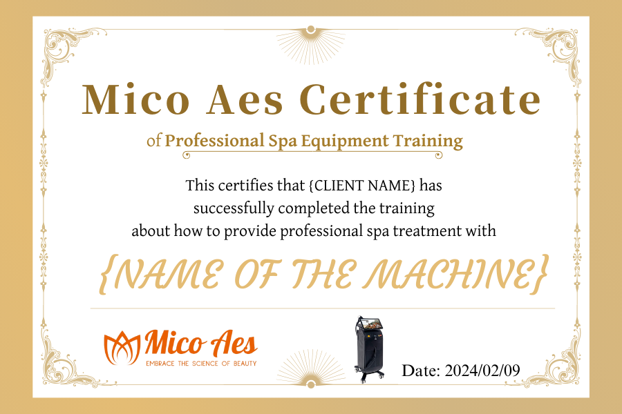 Mico Aes Training Certificate