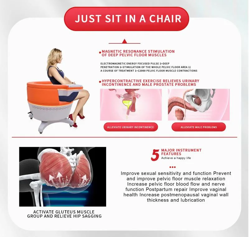 EMS chair activates the deep pelvic floor muscles and gluteus muscle group