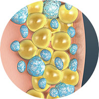 Step 4: Natural Metabolic Process